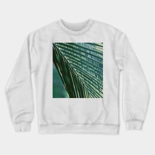 Tropical Palm Tree Leaf Crewneck Sweatshirt